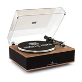 Angels Horn H019 Hi-Fi Bluetooth Turntable with Built-in Speakers vintage record player