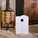 Free Villa Scent Diffuser with Oil Deliveries