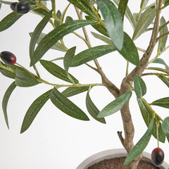 CG Hunter Artificial Olive Topiary Tree with Mediterranean Pot