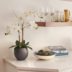 CG Hunter Artificial White Double Stem Orchid