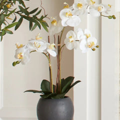 CG Hunter Artificial White Double Stem Orchid