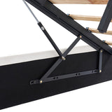 Rudolph Lift Up Storage Upholstered Platform Bed