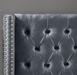Barolo Luxurious Velvet Wing Bed with Tufted Design and Gold Nailhead Accents for Elegant Bedrooms