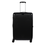 Check-In Luggage
