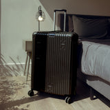 Check-In Luggage