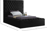 Bliss Contemporary Bed with Deep Tufting, Elegant Upholstery, and Versatile Storage Solutions