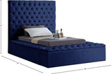 Bliss Contemporary Bed with Deep Tufting, Elegant Upholstery, and Versatile Storage Solutions