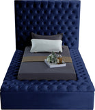 Bliss Contemporary Bed with Deep Tufting, Elegant Upholstery, and Versatile Storage Solutions