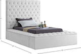 Bliss Contemporary Bed with Deep Tufting, Elegant Upholstery, and Versatile Storage Solutions