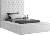 Bliss Contemporary Bed with Deep Tufting, Elegant Upholstery, and Versatile Storage Solutions
