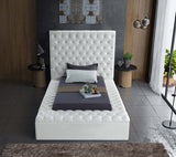 Bliss Contemporary Bed with Deep Tufting, Elegant Upholstery, and Versatile Storage Solutions