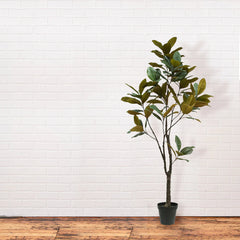 CG Hunter 7' Artificial Magnolia Tree