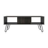 TUHOME Vassel 2-Piece Living Room Set with Storage Cabinet and Open Shelf Organizer, Modern Small-Space Furniture for Living Room, Entryway or Office, 32.32"H x 23.62"W x 14.76"D, Black/Espresso