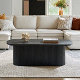 Oval Modern Coffee Table with Concealed Storage