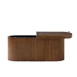 Oval Modern Coffee Table with Concealed Storage
