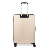 Check-In Luggage