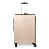 Check-In Luggage