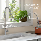 Ciarra Kitchen Faucet with Pull Down Sprayer Brushed, Single Handle Stainless Steel Spring Sink Faucet