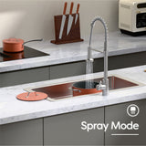 Ciarra Kitchen Faucet with Pull Down Sprayer Brushed, Single Handle Stainless Steel Spring Sink Faucet