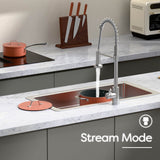 Ciarra Kitchen Faucet with Pull Down Sprayer Brushed, Single Handle Stainless Steel Spring Sink Faucet