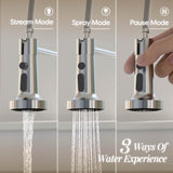 Ciarra Kitchen Faucet with Pull Down Sprayer Brushed, Single Handle Stainless Steel Spring Sink Faucet