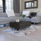 Tuhome Gambia Modern Lift-Top Coffee Table with Hidden Storage, Multi-Function Center Table, Ideal for Living Room, Stylish and Functional Design