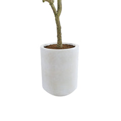 CG Hunter Artificial Olive 7' Tree with Artisan Mediterranean Planter