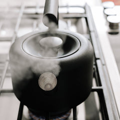 Clyde Stovetop Tea Kettle