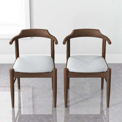 Leon Mid-Century Modern Dining Chair (Set of 2)