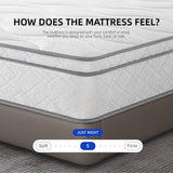 12" Plus Hybrid Mattress (U2)