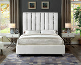 Enzo Velvet Bed – Glamorous Chrome Channel Design for a Modern Bedroom, Easy Assembly, No Box Spring Needed