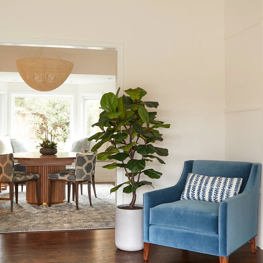 CG Hunter Artificial Fiddle Leaf Fig Tree with Artisan Planter