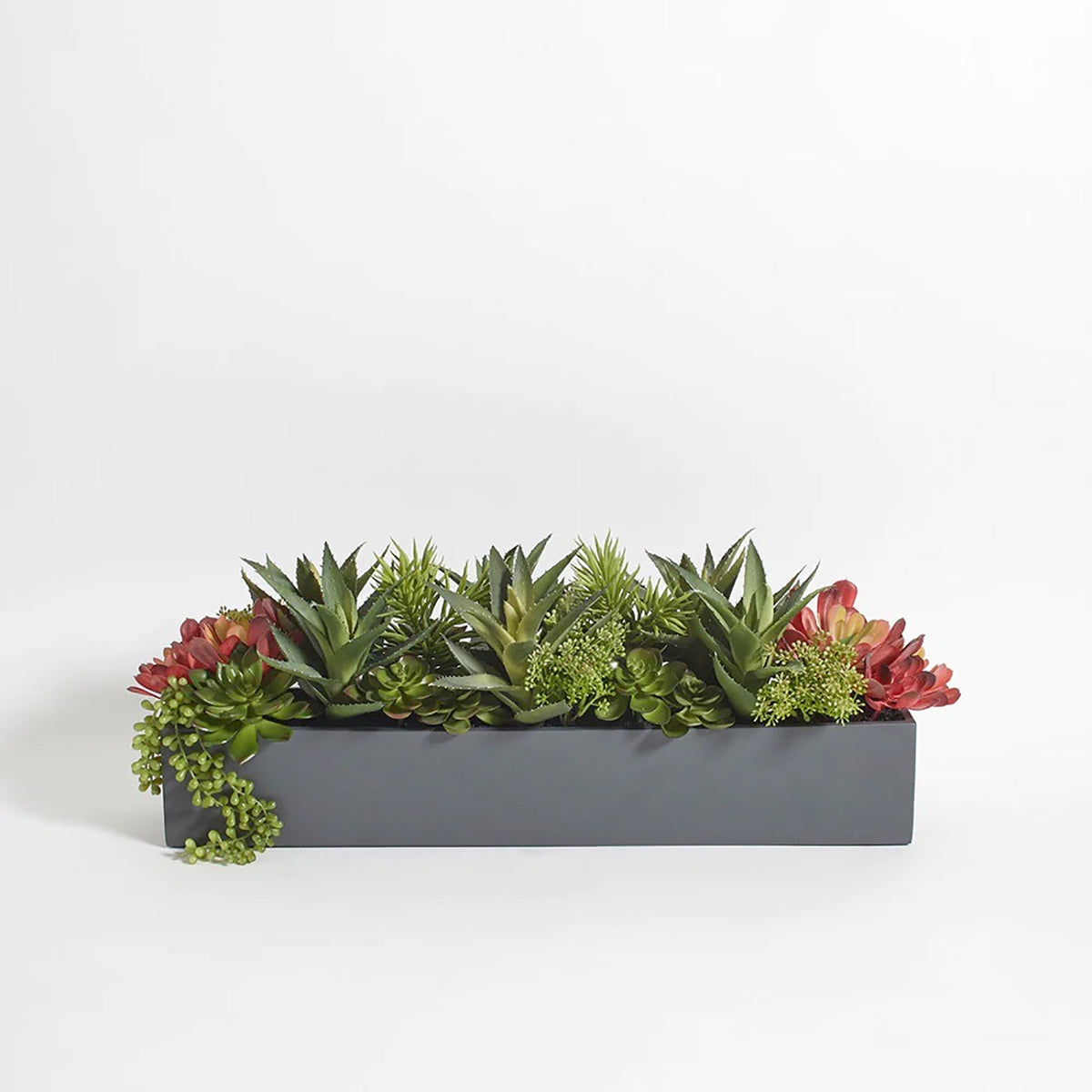 CG Hunter Artificial Succulent Arrangement - Rectangle