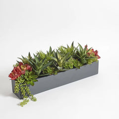 CG Hunter Artificial Succulent Arrangement - Rectangle