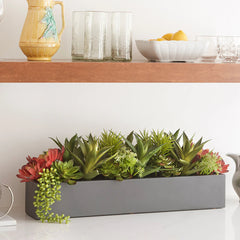 CG Hunter Artificial Succulent Arrangement - Rectangle