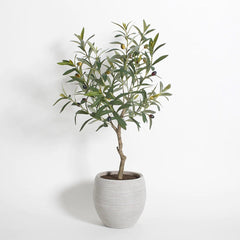 CG Hunter Artificial Olive Topiary Tree with Mediterranean Pot