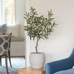 CG Hunter Artificial Olive Topiary Tree with Mediterranean Pot