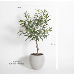 CG Hunter Artificial Olive Topiary Tree with Mediterranean Pot