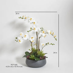 CG Hunter Artificial Orchid with Succulents