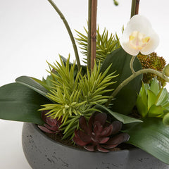 CG Hunter Artificial Orchid with Succulents