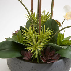 CG Hunter Artificial Orchid with Succulents