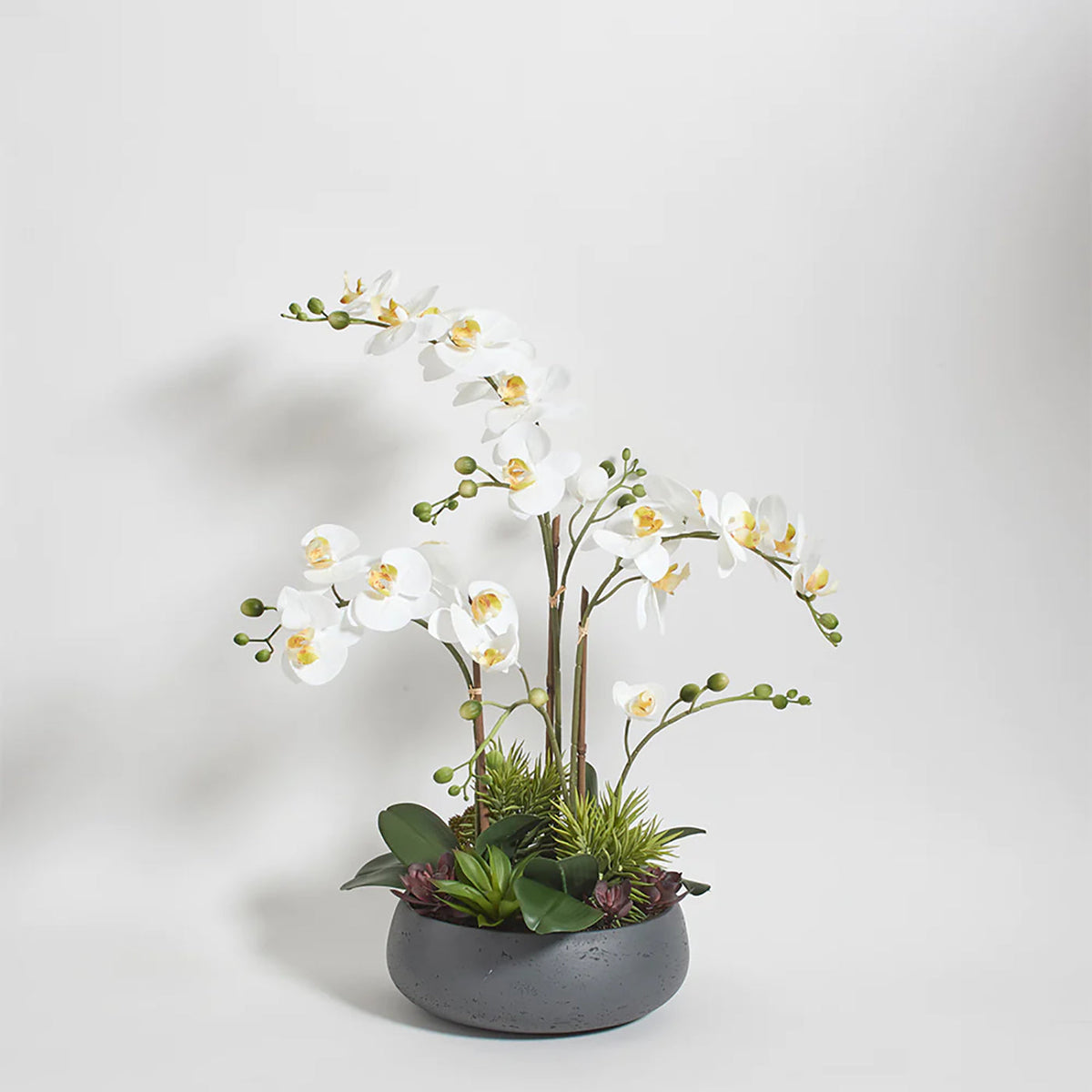 CG Hunter Artificial Orchid with Succulents