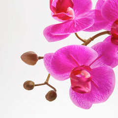 CG Hunter Artificial Pink Double Stem Orchid