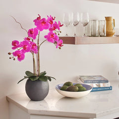 CG Hunter Artificial Pink Double Stem Orchid