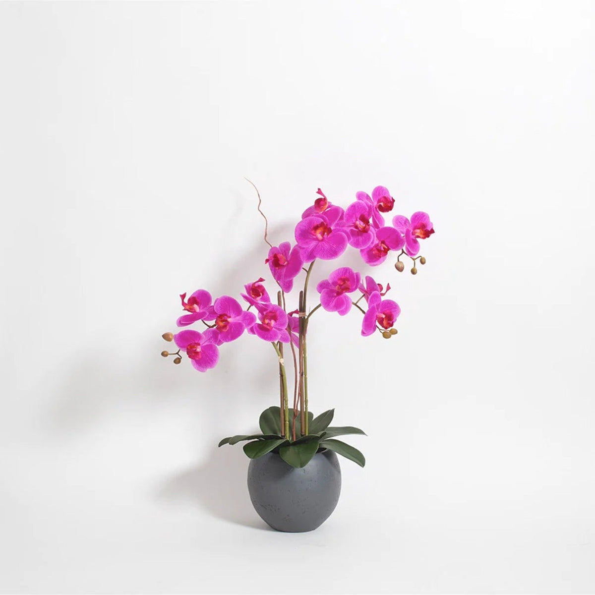 CG Hunter Artificial Pink Double Stem Orchid