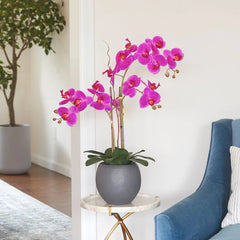 CG Hunter Artificial Pink Double Stem Orchid