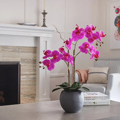 CG Hunter Artificial Pink Double Stem Orchid