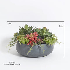 CG Hunter Artificial Succulent Arrangement - Round