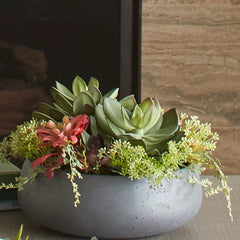 CG Hunter Artificial Succulent Arrangement - Round