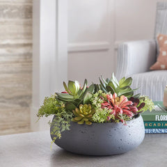 CG Hunter Artificial Succulent Arrangement - Round